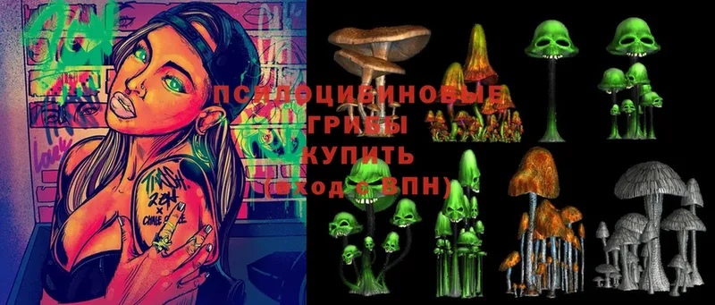 Галлюциногенные грибы Cubensis  где можно купить   Сыктывкар 